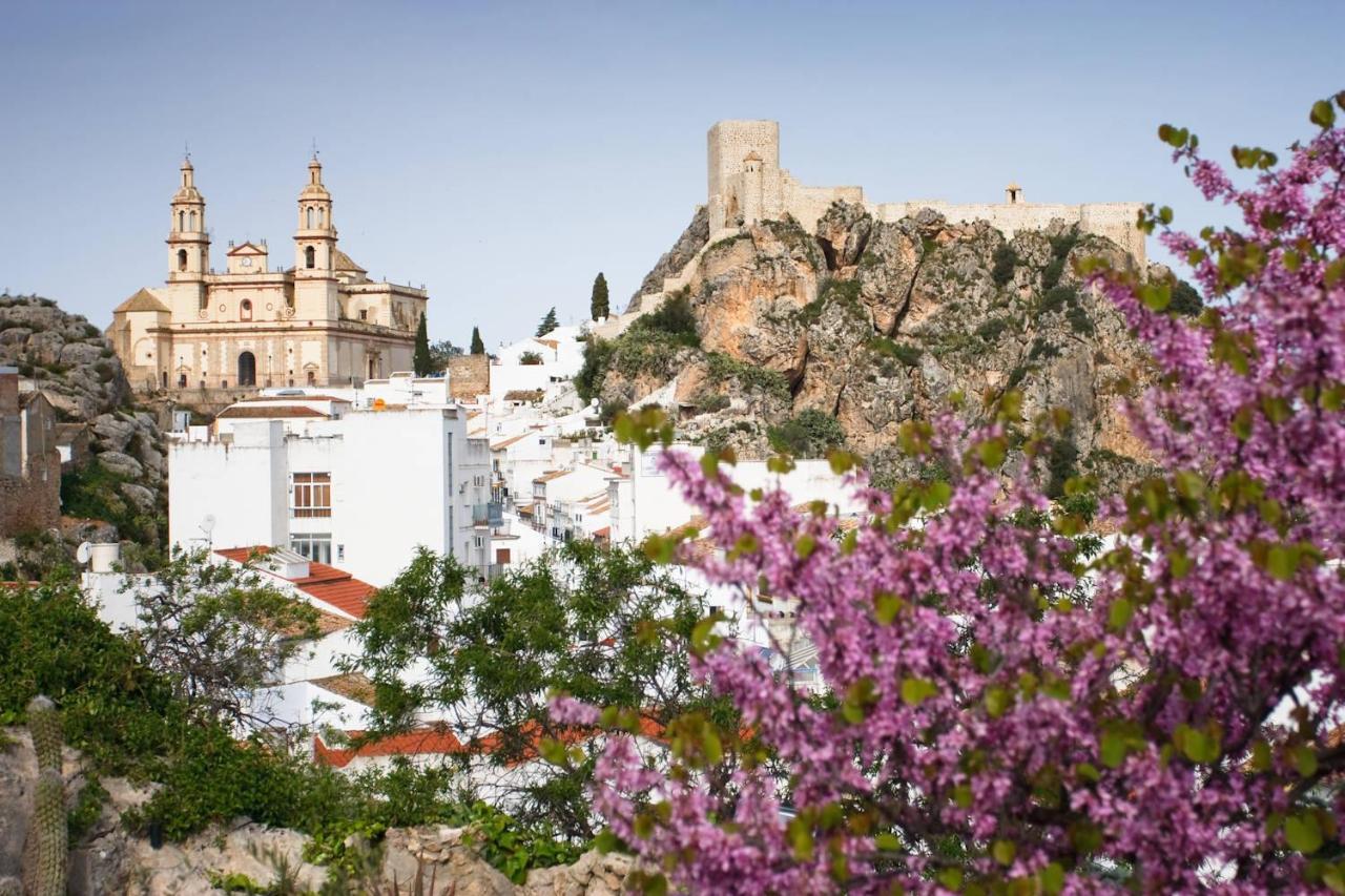 Vila Casa Del Arco Olvera Exteriér fotografie